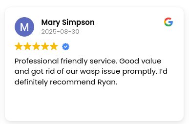 Professional friendly service. Good value and got rid of our wasp issue promptly. I’d definitely recommend Ryan.