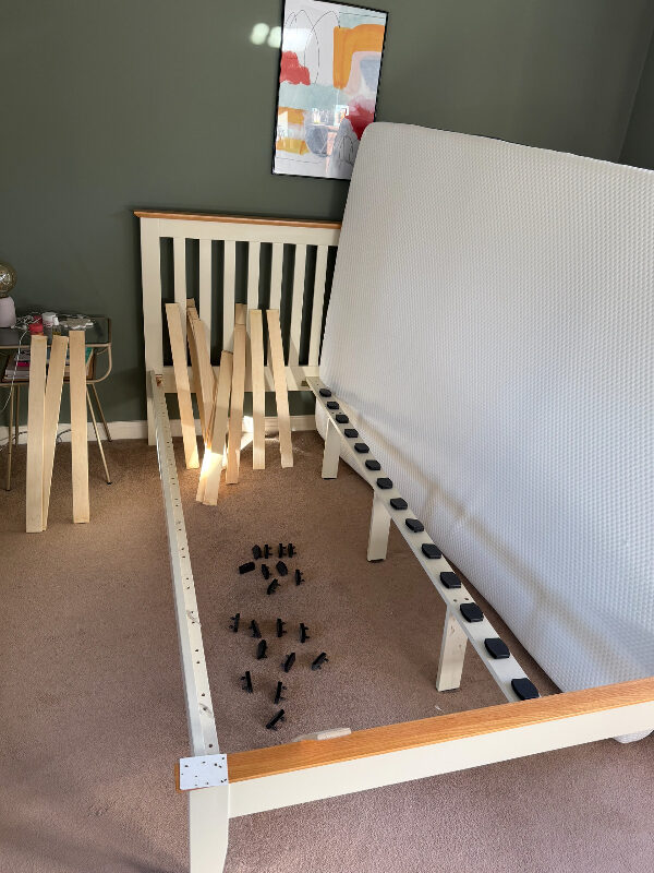 Bed bugs visible along the edge of bed frame during inspection in Gorgie