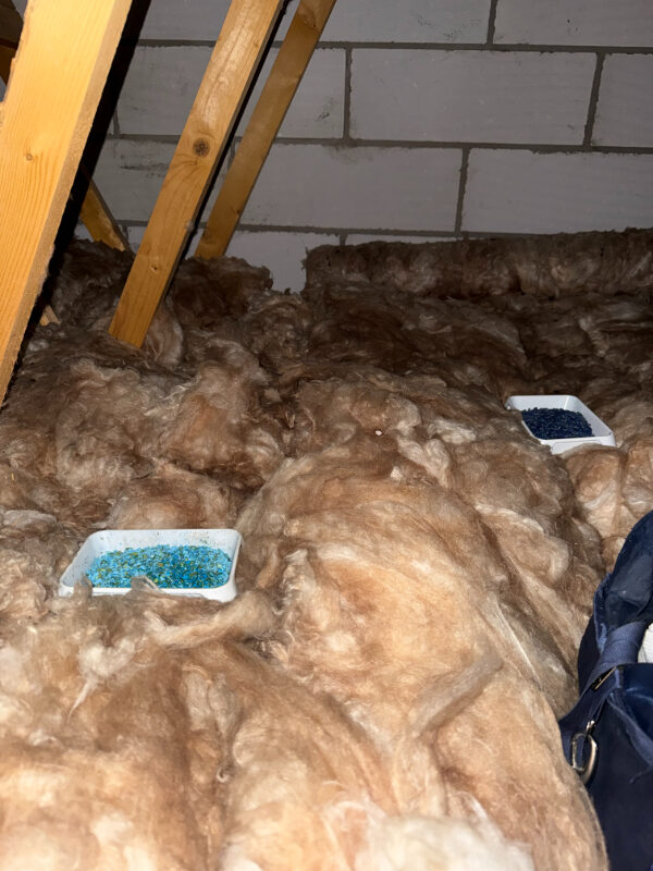 Professional rodenticide bait station Bonnyrigg