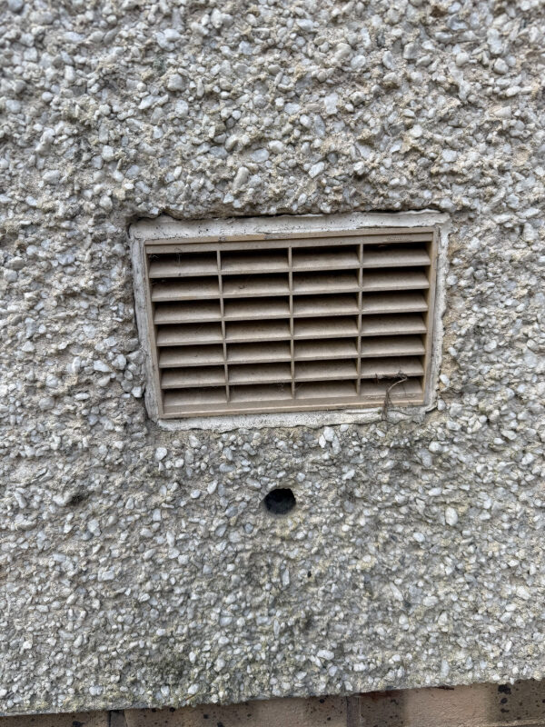 External mouse entry point through vent and wall cavity Balerno