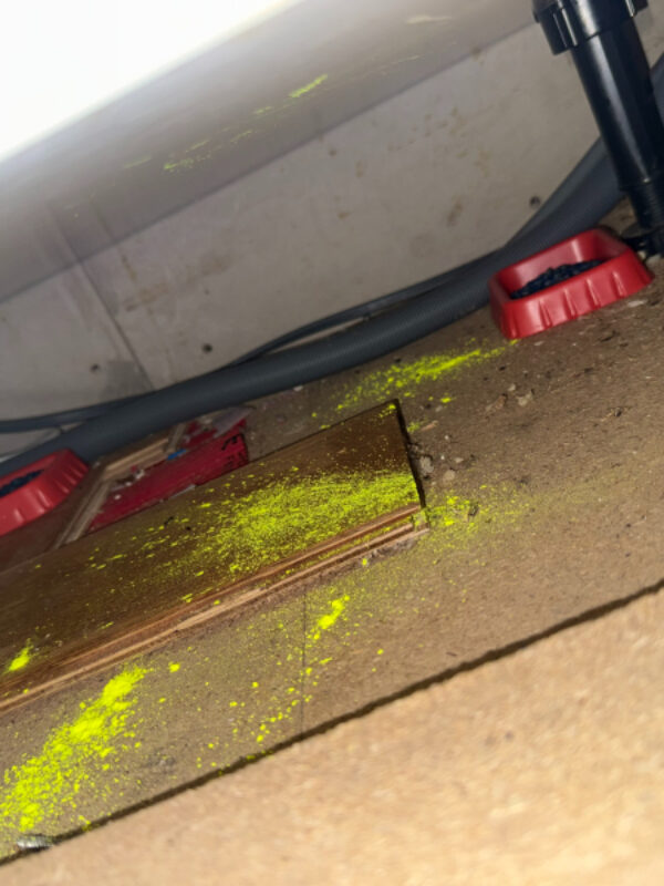 Rodenticide and UV tracking dust used for mice control Balerno