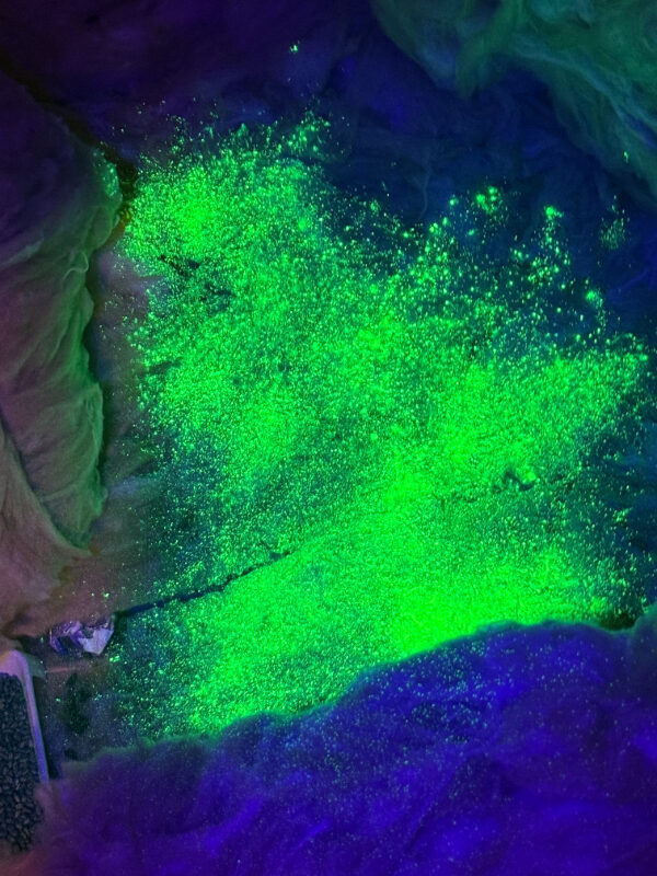 Ultra violet tracking dust applied for rodent monitoring Balerno